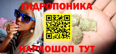 марихуана Аргун